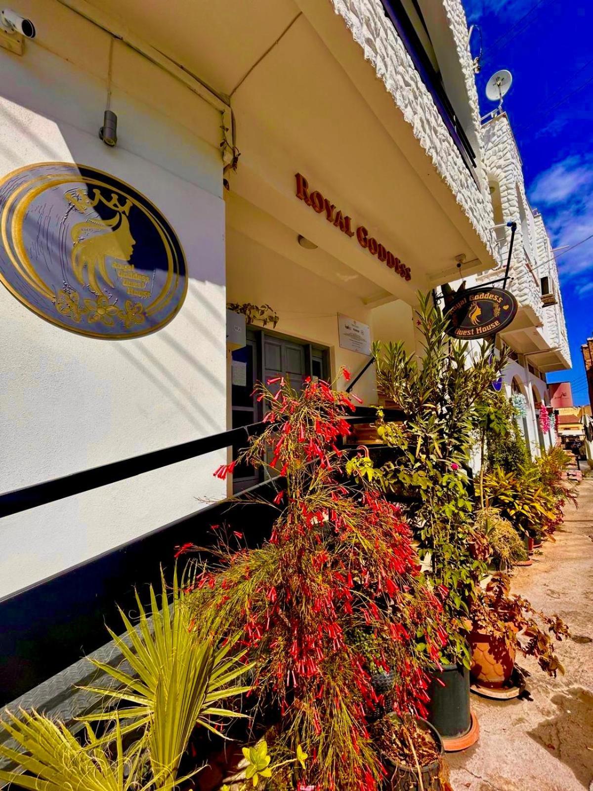 Royal Goddess Guest House, Walled City Фамагуста Экстерьер фото